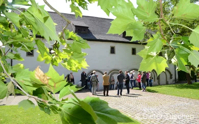 Stadtführungen Stiftsruine © Dieter Tuschen